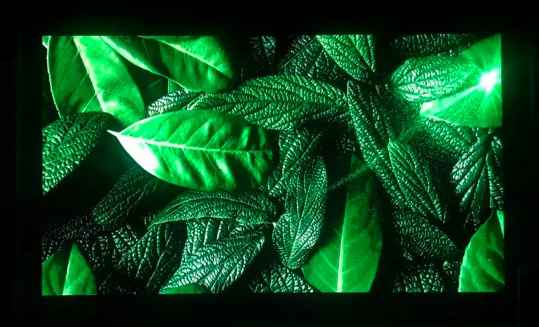 ISLE廣州展搶先看:木林森推出創新性封裝產品解決方案 4.png ISLE廣州展搶先看:木林森推出創新性封裝產品解決方案 4.png