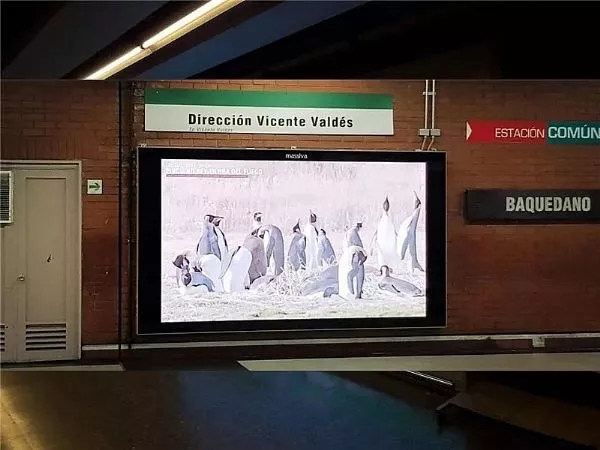 這些<a href=http://m.aqlfk.com target=_blank class=infotextkey>led屏</a>就一個字 3.webp.jpg