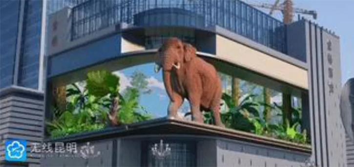 tpq9R1634009277 tpq9R1634009277